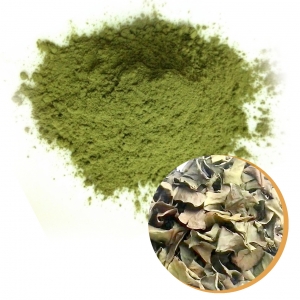 Bột lá vối
