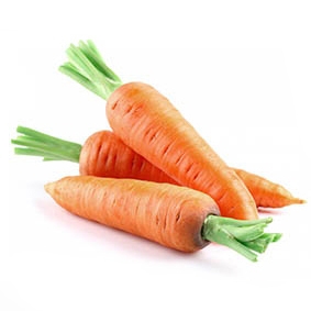 Fresh carrots from viet nam