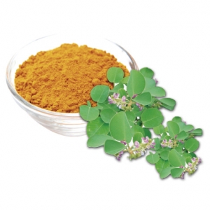 Bột kim tiền thảo