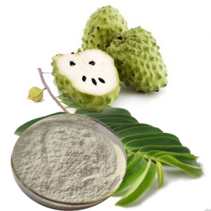 Natural soursop flavor powder, soursop flavor powder high quality, soursop flavor powder for drinks