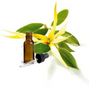 Ylang  essential oil with best price and quality from india