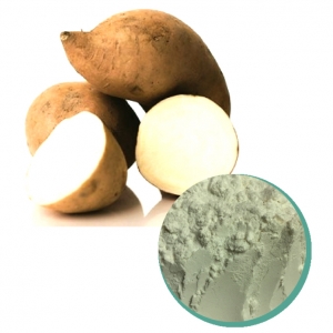 White sweet potato powder 