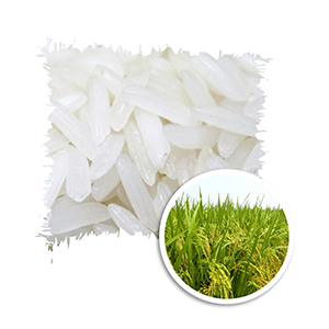 Long grain white rice 