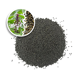 Dried basil seed 