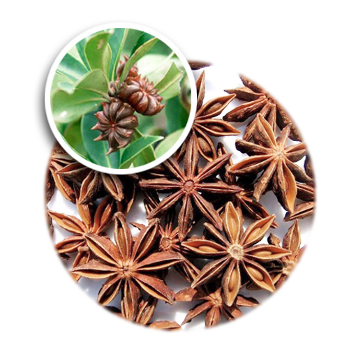 Dried Star Anise