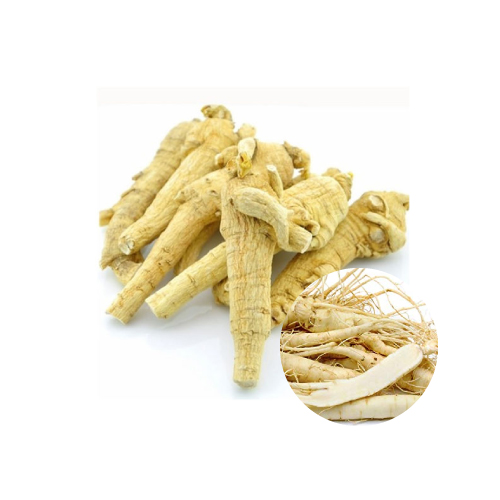 Dried Ginseng 