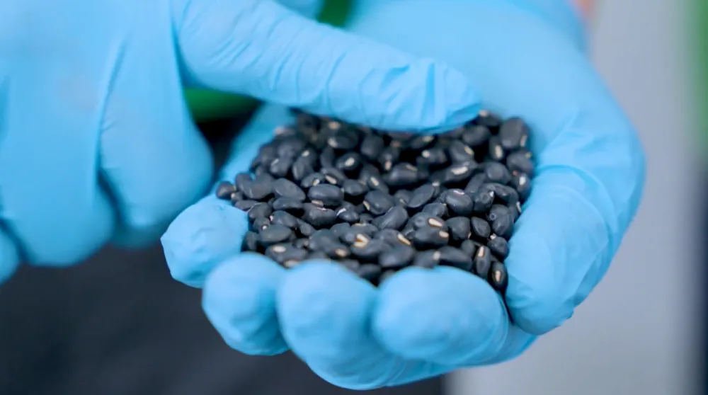 Step 1: Selecting clean, standard-compliant raw materials