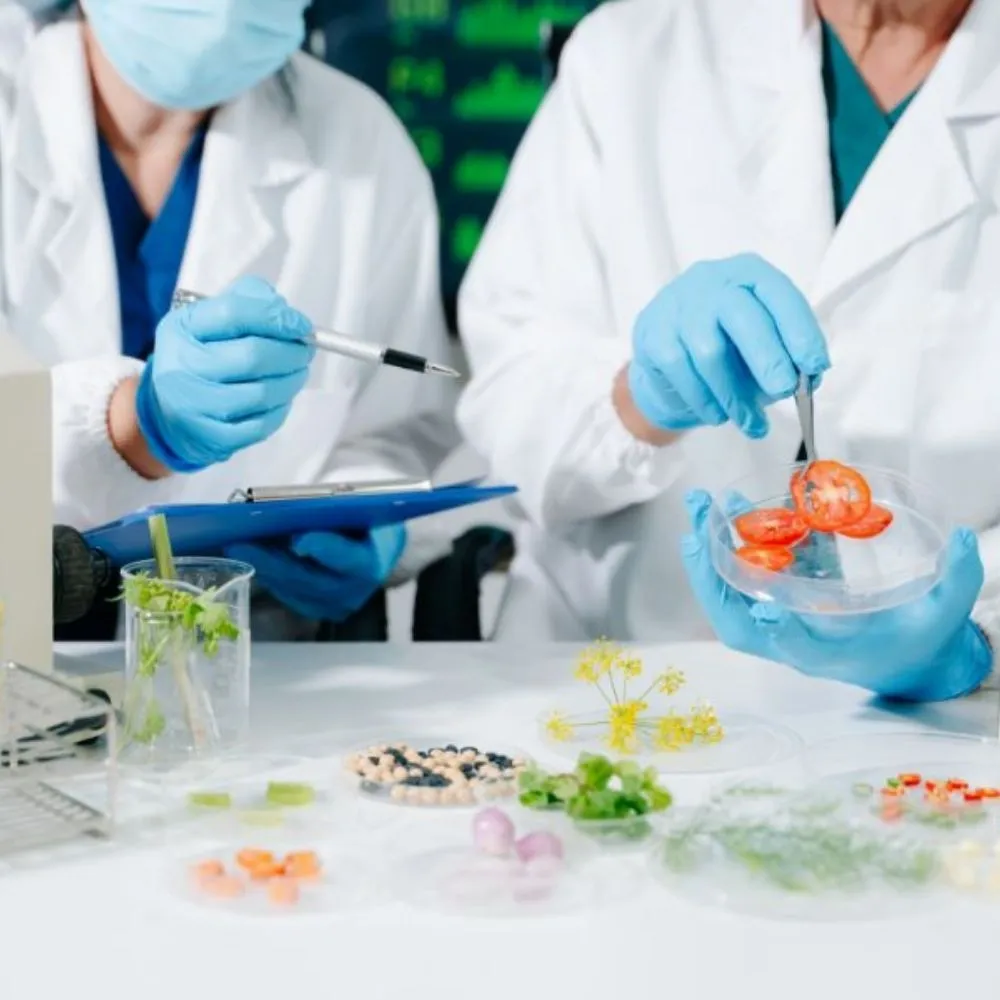 02. RESEARCH & STRATEGY - Goodprice R&D
