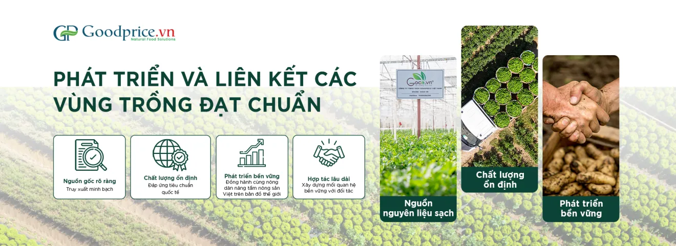 Banner nhà máy 1