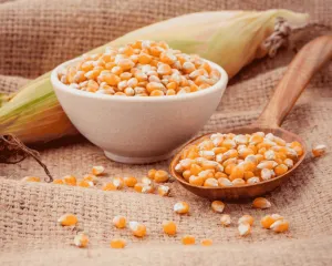 Dried & Frozen Agricultural Products