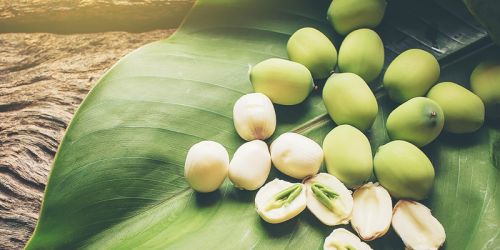 Ăn hạt sen mỗi ngày sẽ giúp bạn những gì?