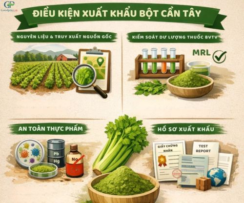 Can Goodprice Vietnam’s Celery Powder Be Exported?