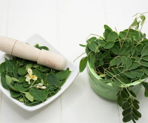 Is Goodprice Moringa Powder 100% Pure? Why Does It Meet Export Standards?