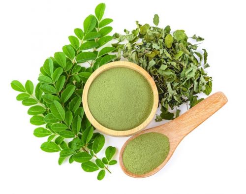 Moringa Powder Vs Fresh Leaves – Which One Should You Use?