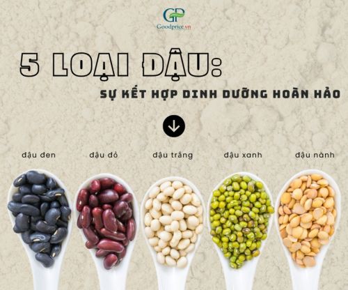 Bột Ngũ Cốc 5 Loại Đậu: Vì Sao Lại Được Đánh Giá Cao Về Dinh Dưỡng Đến Vậy?