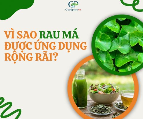 Centella Powder Goodprice Vietnam – A Natural Ingredient for Food & Beverage Production