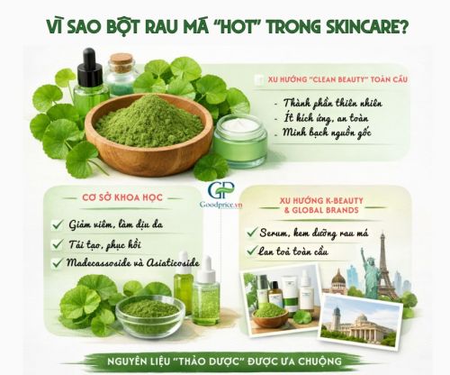 Gotu Kola Powder in Skincare: Global Trends & B2B Opportunities