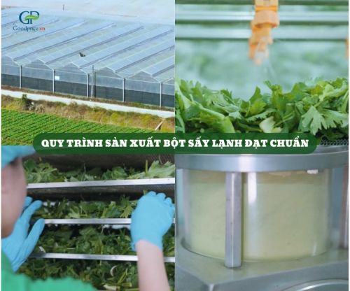 What Is Freeze-Dried Celery Powder? How Is It Different from Heat-Dried Celery Powder?