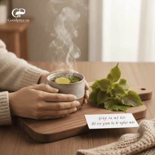 Công Dụng Của Lá Tía Tô Giá Trị Thảo Mộc Tự Nhiên