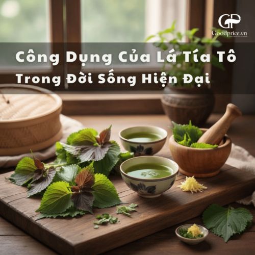 Công Dụng Của Lá Tía Tô Trong Đời Sống Hiện Đại