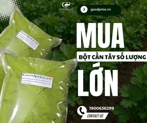 Cung Ứng Bột Cần Tây Chất Lượng – Số Lượng Lớn, Giao Hàng Nhanh