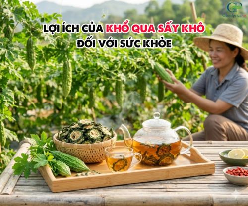 Dried Sliced Bitter Melon Wholesale at Competitive Prices - Goodprice Vietnam