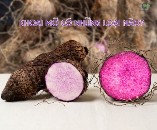 Which Purple Yams Are Suitable for Producing High-Quality Purple Yam Powder? 