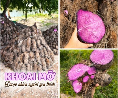 Ube – A Delicious and Nutritious Ingredient for Every Household
