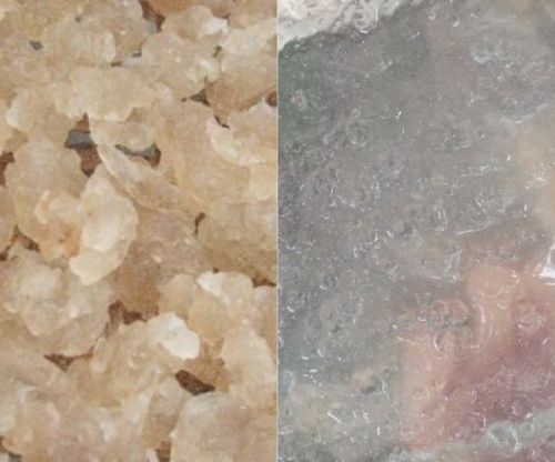 Mủ trôm là gì? Tác dụng của mủ trôm
