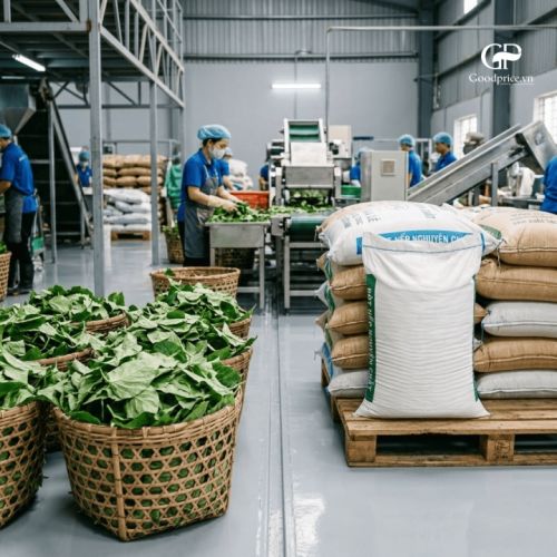 Quy Trình Kiểm Soát Chất Lượng Lá Mơ Lông Chuẩn B2B 2026