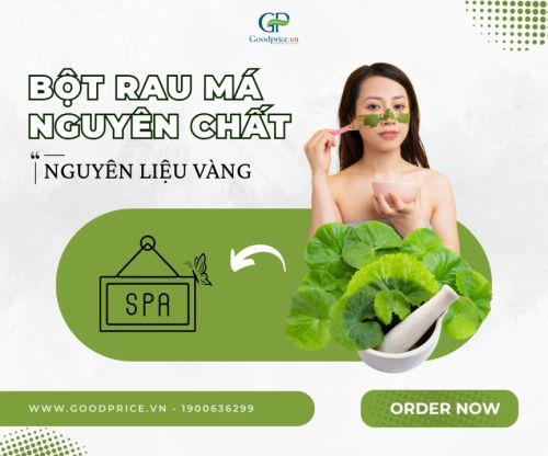 Centella Asiatica – The Most Popular Ingredient in Today’s Beauty Industry