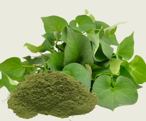 What Is Pure Standard Quality Fish Mint Powder?