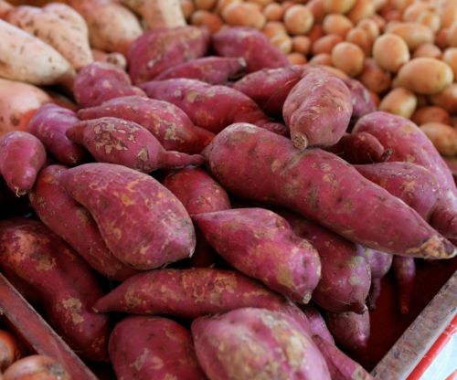 Criteria For Choosing Purple Sweet Potato Powder As A Safe Production Ingredient