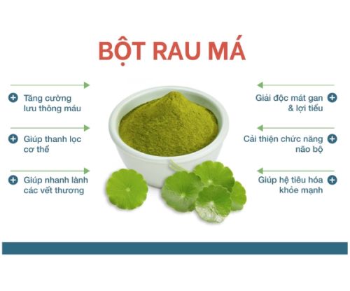 Tổng hợp những tác dụng của bột rau má