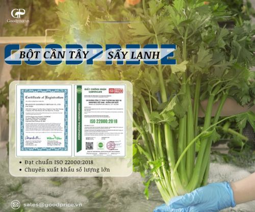 Top 10+ Ứng Dụng Của Bột Cần Tây Khiến Ngành Thực Phẩm “Phát Sốt”