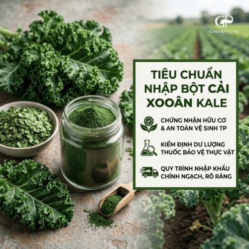 Vì Sao Bột Cải Xoăn Kale Bán Chạy Hơn Rau Truyền Thống Trong Ngành Healthy?