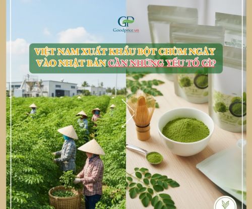 Việt Nam xuất khẩu bột chùm ngây vào Nhật Bản cần những yếu tố gì?