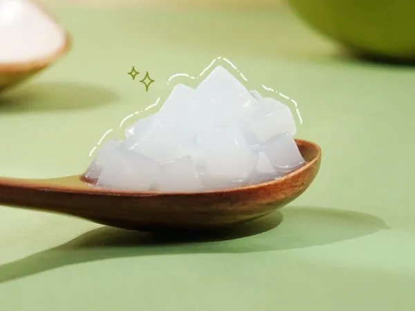 FOOD INGREDIENTS