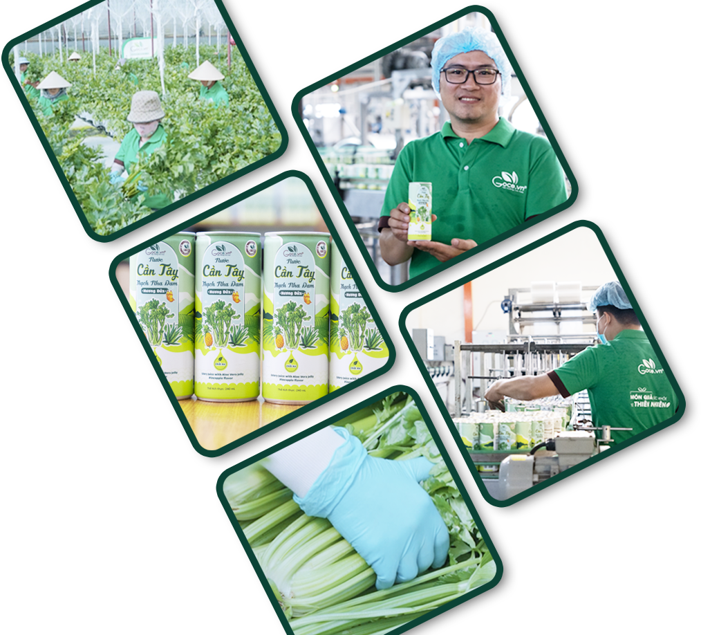 Hiện Thực HóaÝ TưởngCủa Bạn