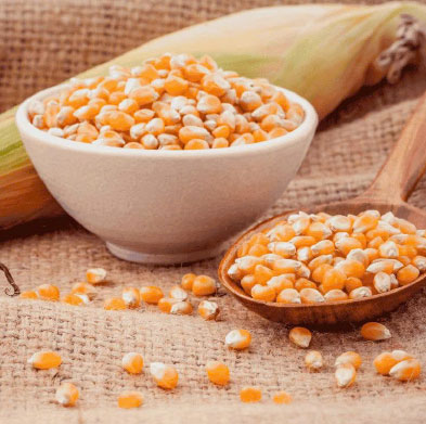 NÔNG SẢN SẤY